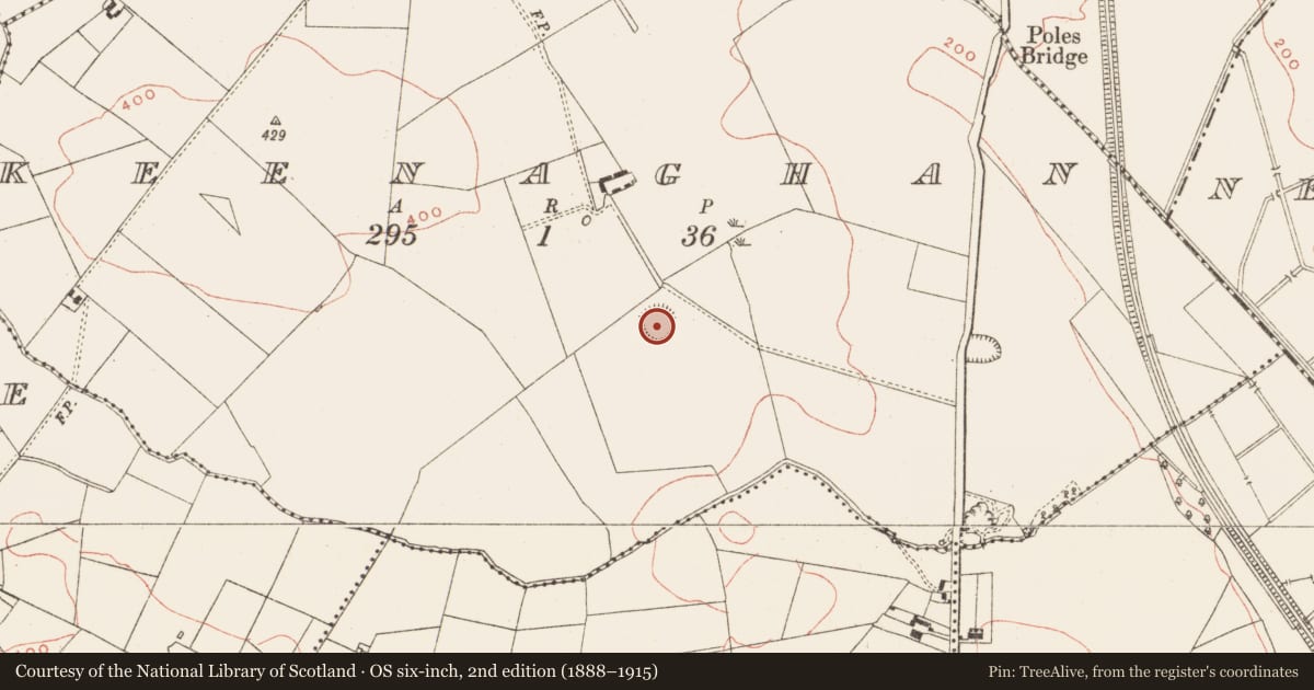 Ordnance Survey six-inch map, 2nd edition (1888–1915) covering the location of Ringfort - rath, Keenaghan, County Meath, with a pin at the register's coordinates