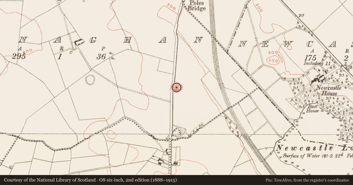 Ordnance Survey six-inch map, 2nd edition (1888–1915) covering the location of Ringfort - rath, Keenaghan, County Meath, with a pin at the register's coordinates