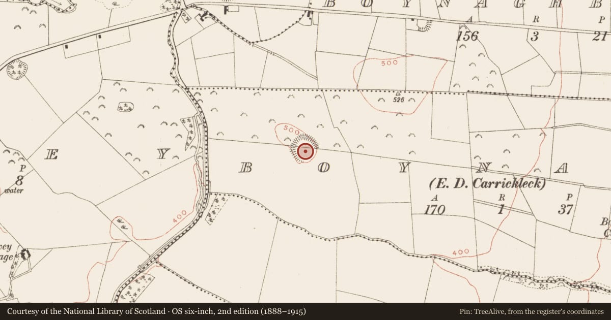 Ordnance Survey six-inch map, 2nd edition (1888–1915) covering the location of Ringfort - rath, Boynagh (Kells Lower By., Enniskeen Par.), County Meath, with a pin at the register's coordinates