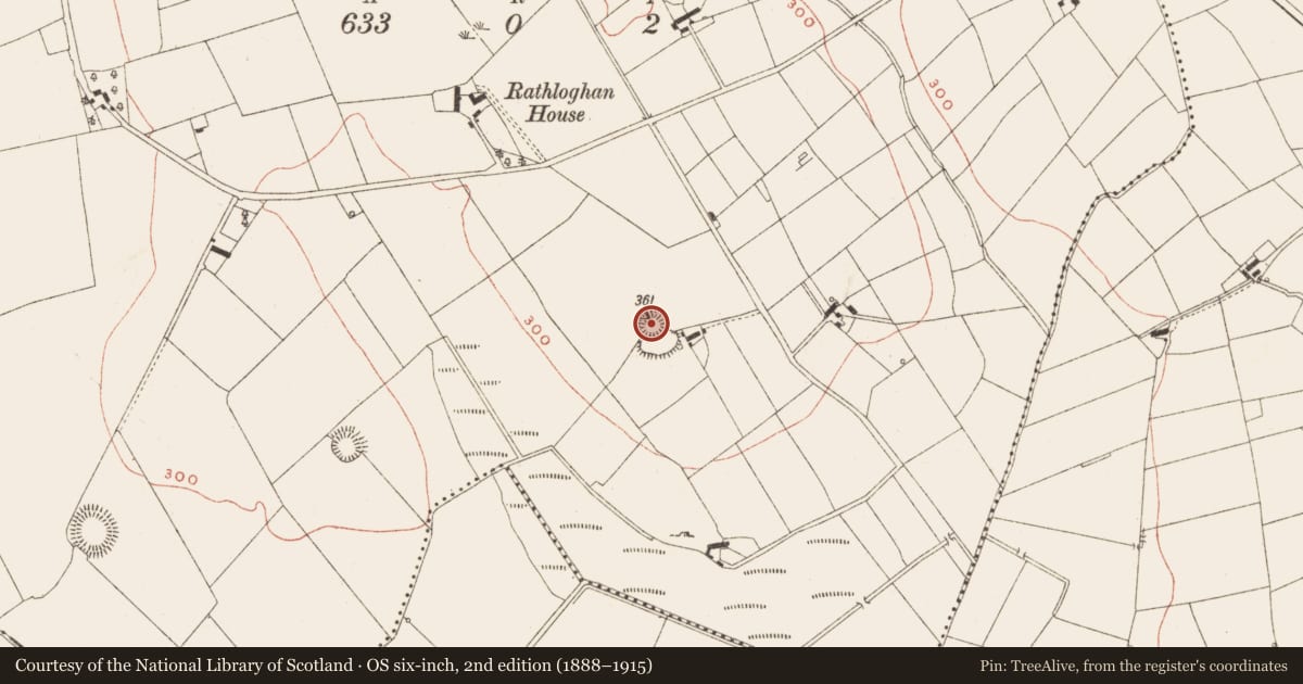 Ordnance Survey six-inch map, 2nd edition (1888–1915) covering the location of Ringfort - rath, Raloaghan, County Meath, with a pin at the register's coordinates