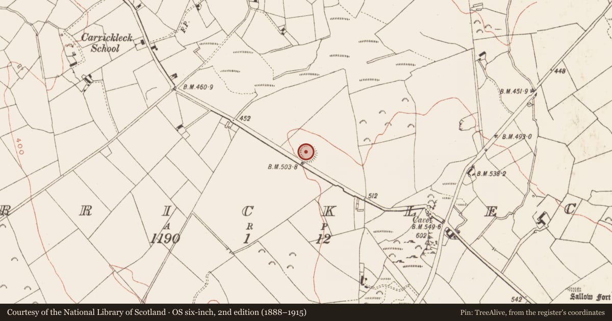 Ordnance Survey six-inch map, 2nd edition (1888–1915) covering the location of Ringfort - rath, Carrickleck, County Meath, with a pin at the register's coordinates