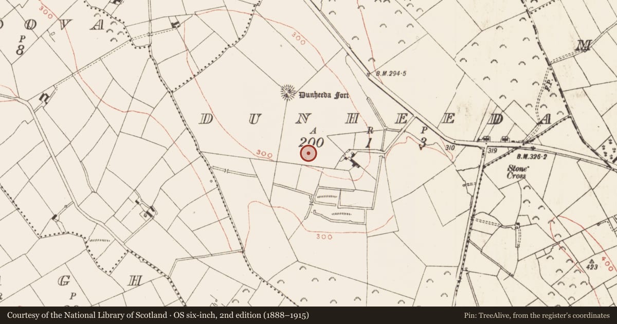 Ordnance Survey six-inch map, 2nd edition (1888–1915) covering the location of Standing stone, Dunheeda, County Meath, with a pin at the register's coordinates