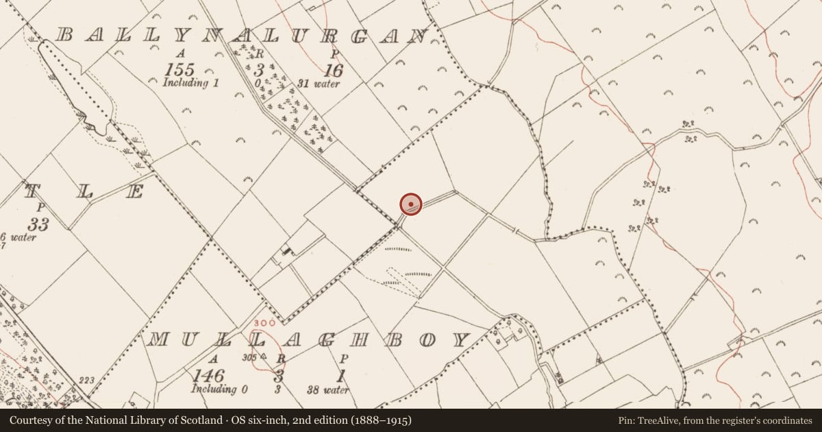 Ordnance Survey six-inch map, 2nd edition (1888–1915) covering the location of Burial, Mullaghboy, County Meath, with a pin at the register's coordinates