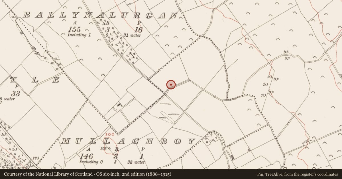Ordnance Survey six-inch map, 2nd edition (1888–1915) covering the location of Cross-slab, Mullaghboy, County Meath, with a pin at the register's coordinates