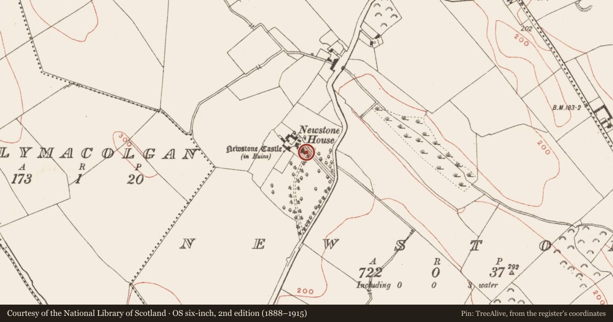 Ordnance Survey six-inch map, 2nd edition (1888–1915) covering the location of Architectural fragment, Newstone, County Meath, with a pin at the register's coordinates