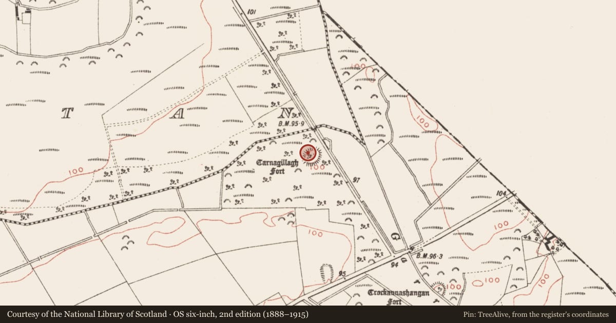 Ordnance Survey six-inch map, 2nd edition (1888–1915) covering the location of Ringfort - rath, Corstown, County Meath, with a pin at the register's coordinates