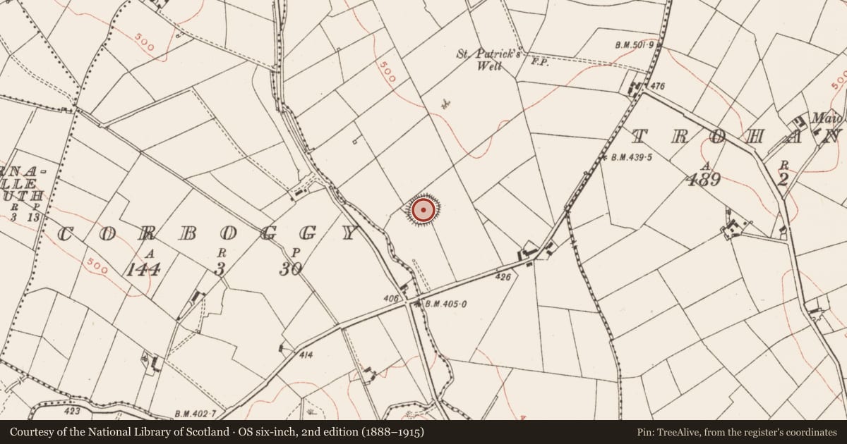 Ordnance Survey six-inch map, 2nd edition (1888–1915) covering the location of Ringfort - rath, Golashane, County Meath, with a pin at the register's coordinates