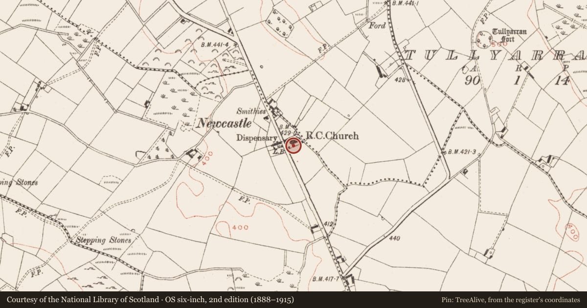 Ordnance Survey six-inch map, 2nd edition (1888–1915) covering the location of Font, Newcastle, County Meath, with a pin at the register's coordinates