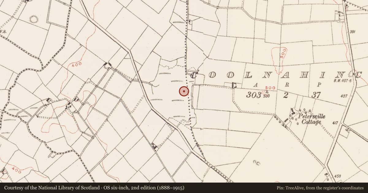 Ordnance Survey six-inch map, 2nd edition (1888–1915) covering the location of Crannog, Quigelagh, County Meath, with a pin at the register's coordinates