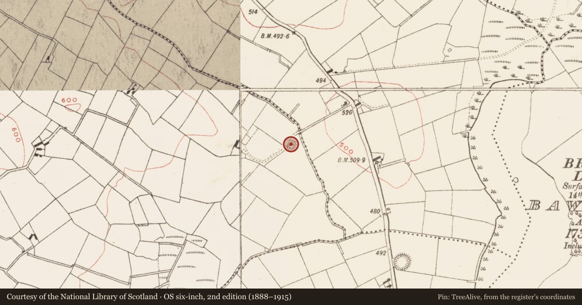 Ordnance Survey six-inch map, 2nd edition (1888–1915) covering the location of Ringfort - rath, Trohanny, County Meath, with a pin at the register's coordinates
