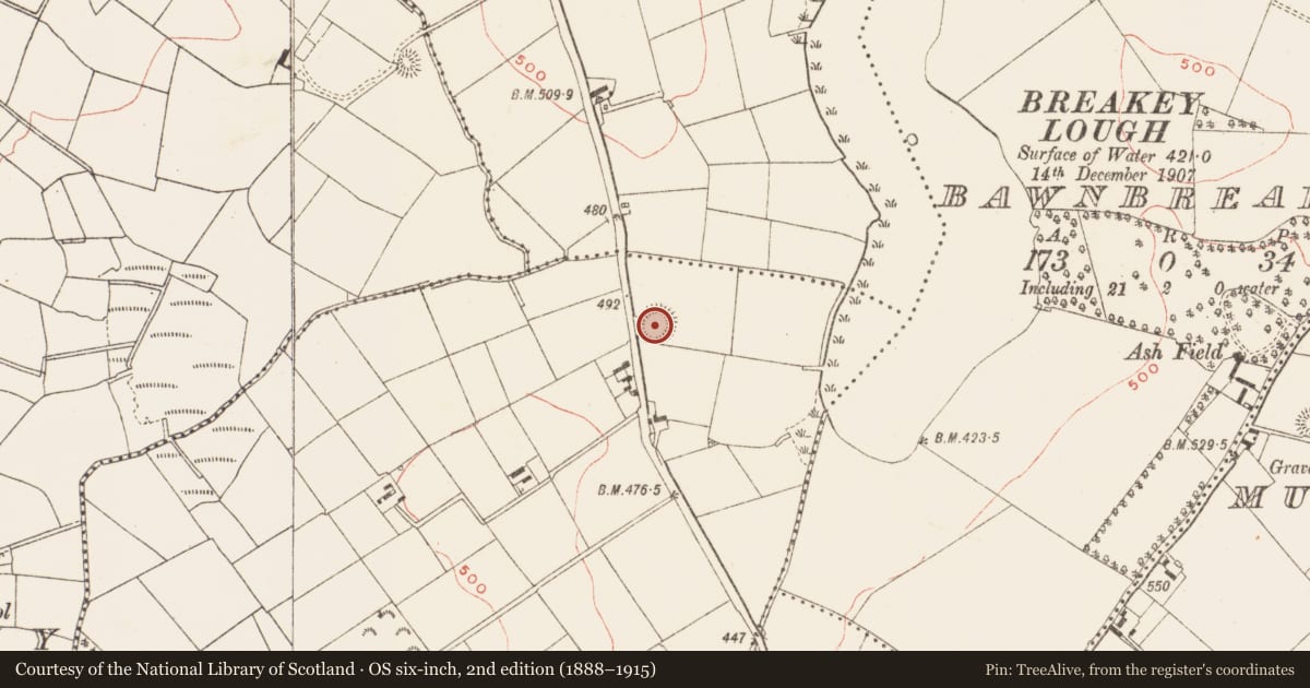 Ordnance Survey six-inch map, 2nd edition (1888–1915) covering the location of Ringfort - rath, Losset, County Meath, with a pin at the register's coordinates