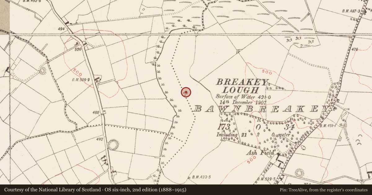 Ordnance Survey six-inch map, 2nd edition (1888–1915) covering the location of Crannog, Bawnbreakey, County Meath, with a pin at the register's coordinates