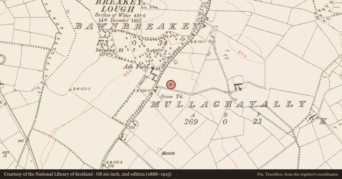 Ordnance Survey six-inch map, 2nd edition (1888–1915) covering the location of Ringfort - rath, Mullaghavally, County Meath, with a pin at the register's coordinates