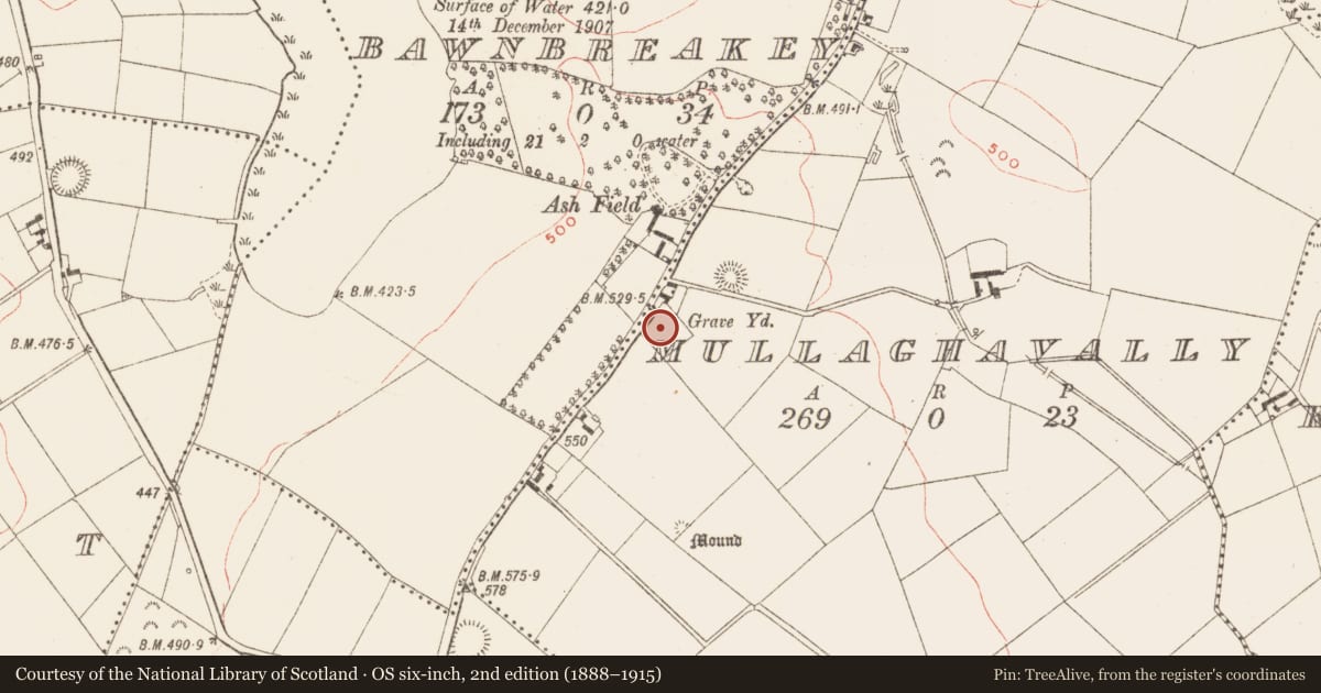 Ordnance Survey six-inch map, 2nd edition (1888–1915) covering the location of Burial ground, Mullaghavally, County Meath, with a pin at the register's coordinates