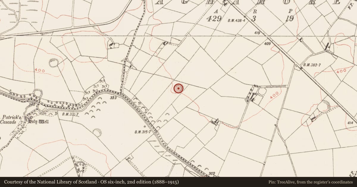 Ordnance Survey six-inch map, 2nd edition (1888–1915) covering the location of Ringfort - rath, Aghamore, County Meath, with a pin at the register's coordinates