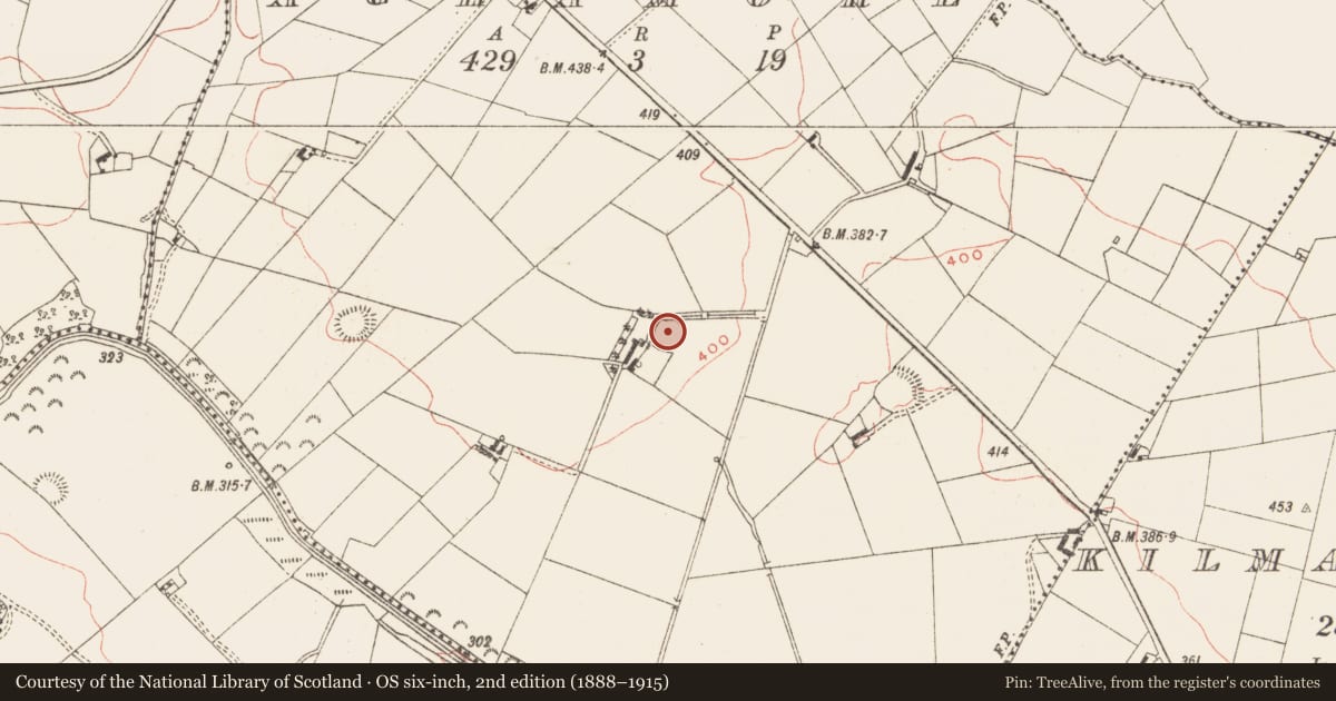 Ordnance Survey six-inch map, 2nd edition (1888–1915) covering the location of Ringfort - rath, Aghamore, County Meath, with a pin at the register's coordinates