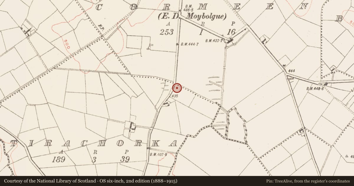 Ordnance Survey six-inch map, 2nd edition (1888–1915) covering the location of Ringfort - rath, Tirachorka, County Meath, with a pin at the register's coordinates