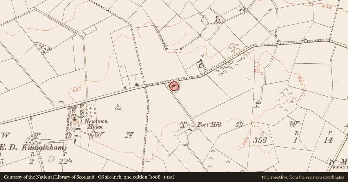 Ordnance Survey six-inch map, 2nd edition (1888–1915) covering the location of Souterrain, Towas, County Meath, with a pin at the register's coordinates