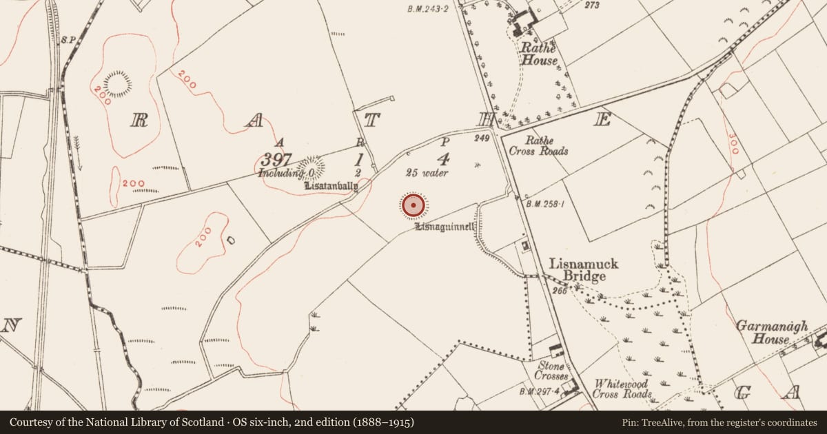 Ordnance Survey six-inch map, 2nd edition (1888–1915) covering the location of Ringfort - rath, Rathe, County Meath, with a pin at the register's coordinates