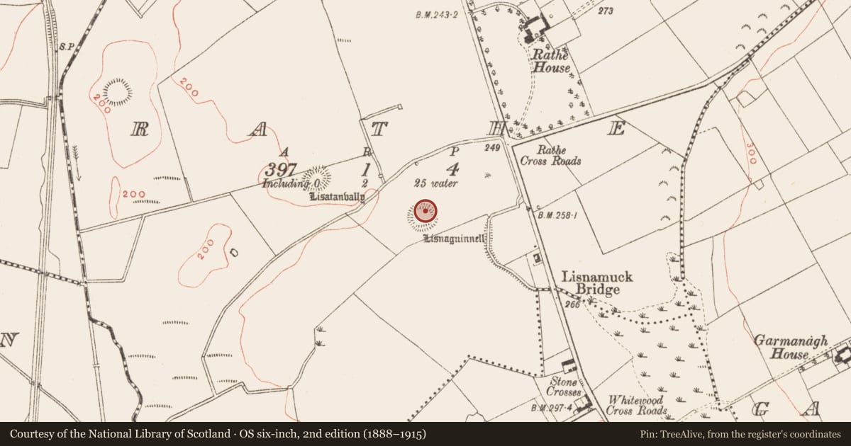 Ordnance Survey six-inch map, 2nd edition (1888–1915) covering the location of House - indeterminate date, Rathe, County Meath, with a pin at the register's coordinates