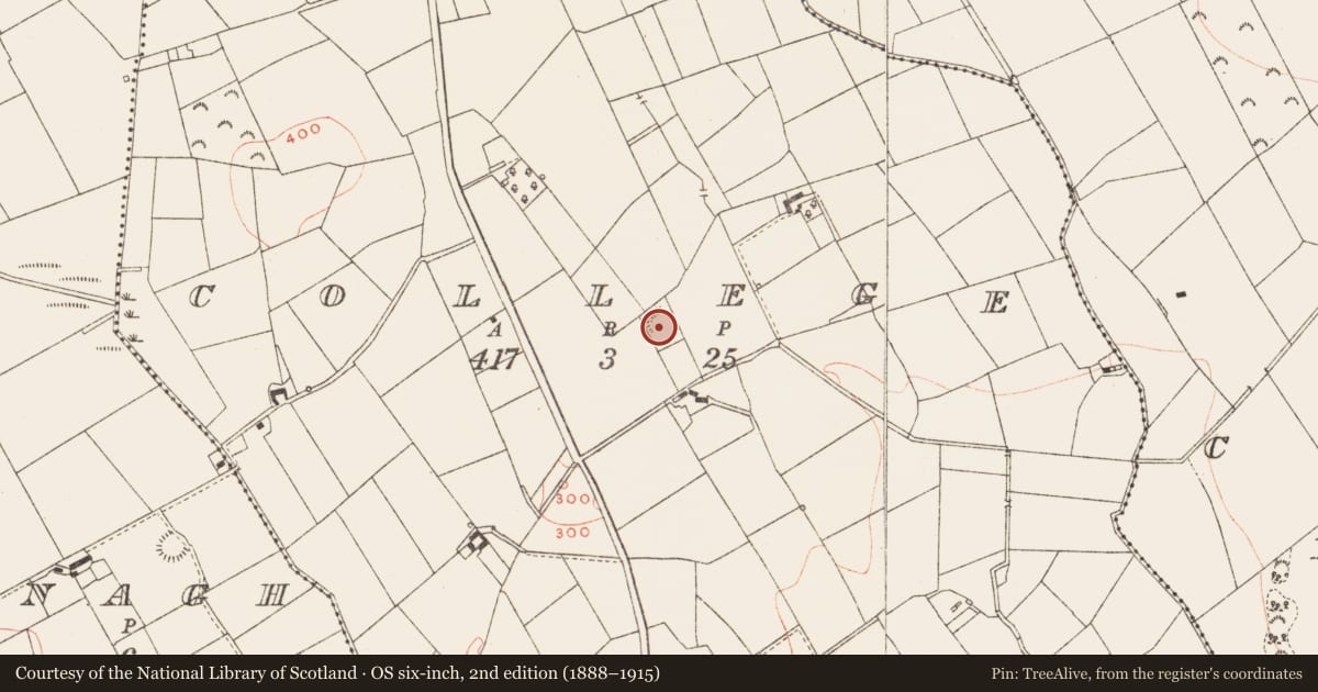 Ordnance Survey six-inch map, 2nd edition (1888–1915) covering the location of Ringfort - rath, College, County Meath, with a pin at the register's coordinates