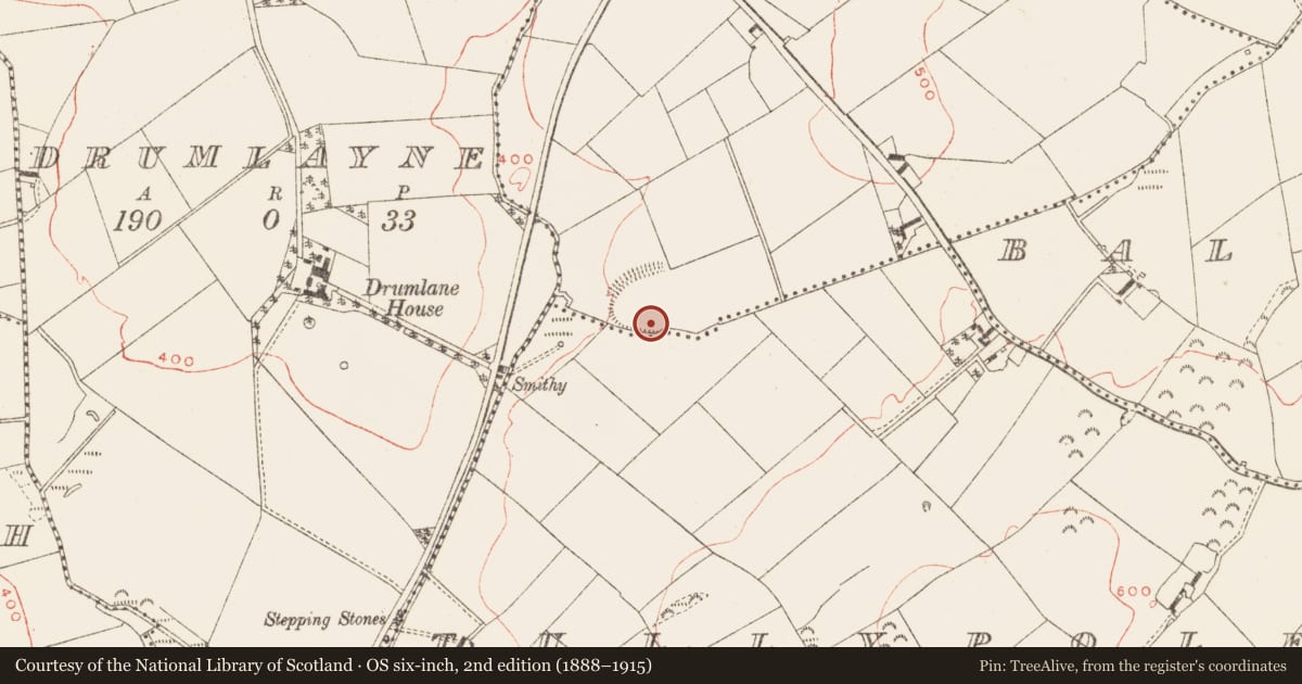 Ordnance Survey six-inch map, 2nd edition (1888–1915) covering the location of Cross, Mullystaghan, County Meath, with a pin at the register's coordinates