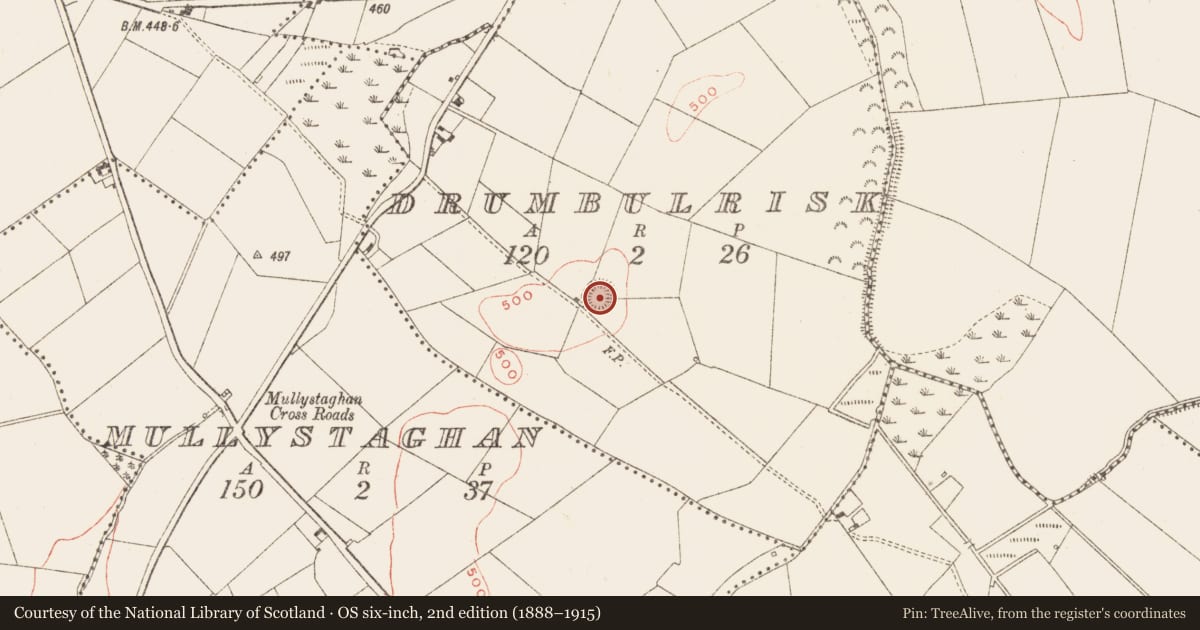 Ordnance Survey six-inch map, 2nd edition (1888–1915) covering the location of Ringfort - rath, Drumbulrisk, County Meath, with a pin at the register's coordinates