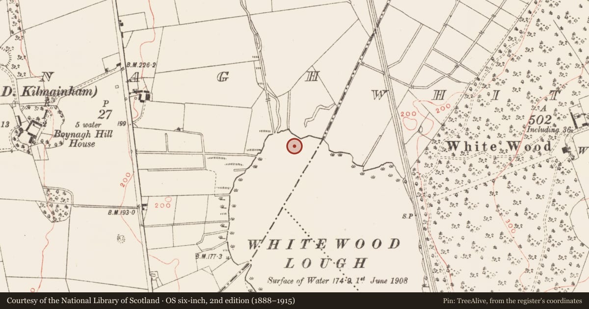 Ordnance Survey six-inch map, 2nd edition (1888–1915) covering the location of Crannog, Boynagh (Kells Lower By., Kilmainham Par.), County Meath, with a pin at the register's coordinates