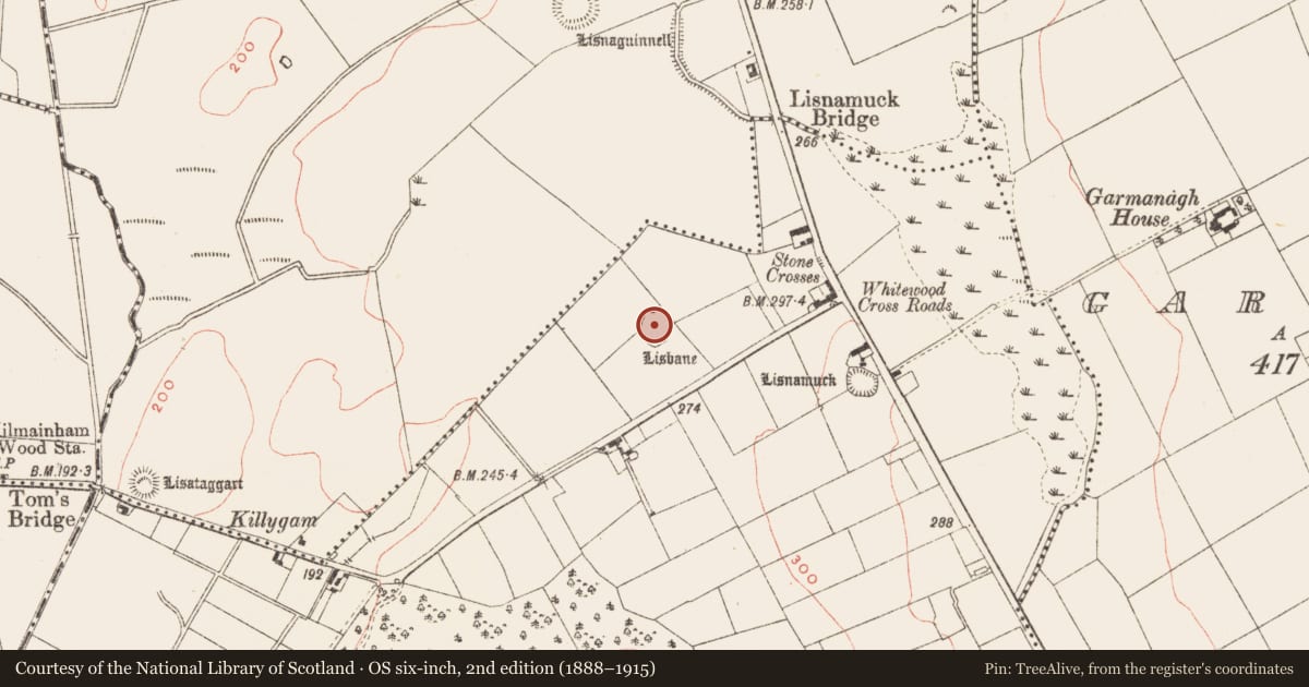 Ordnance Survey six-inch map, 2nd edition (1888–1915) covering the location of Ringfort - rath, Whitewood, County Meath, with a pin at the register's coordinates