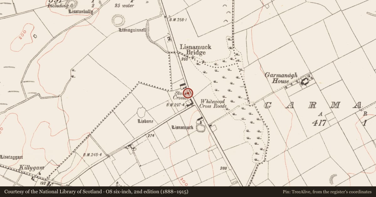 Ordnance Survey six-inch map, 2nd edition (1888–1915) covering the location of Cross, Whitewood, County Meath, with a pin at the register's coordinates