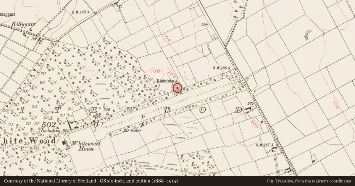 Ordnance Survey six-inch map, 2nd edition (1888–1915) covering the location of Ringfort - rath, Whitewood, County Meath, with a pin at the register's coordinates