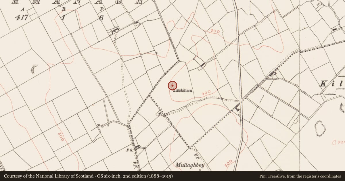 Ordnance Survey six-inch map, 2nd edition (1888–1915) covering the location of Ringfort - rath, College, County Meath, with a pin at the register's coordinates