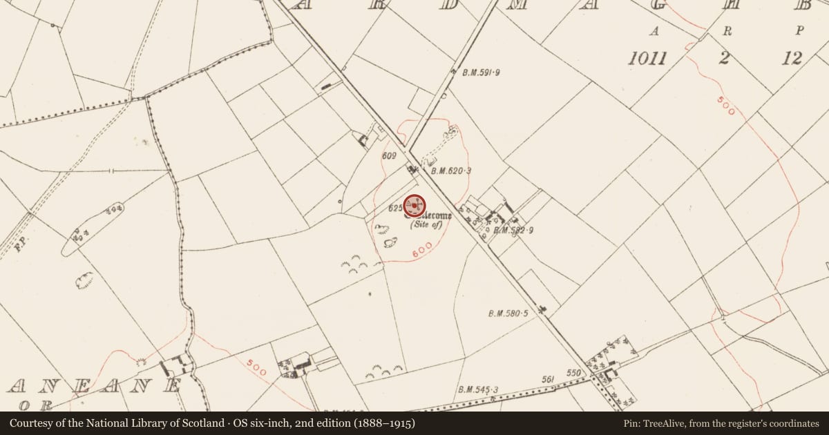Ordnance Survey six-inch map, 2nd edition (1888–1915) covering the location of Castle - unclassified, Ardmaghbreague, County Meath, with a pin at the register's coordinates