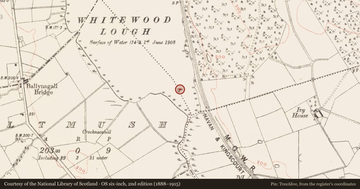 Ordnance Survey six-inch map, 2nd edition (1888–1915) covering the location of Crannog, Altmush, Whitewood, County Meath, with a pin at the register's coordinates