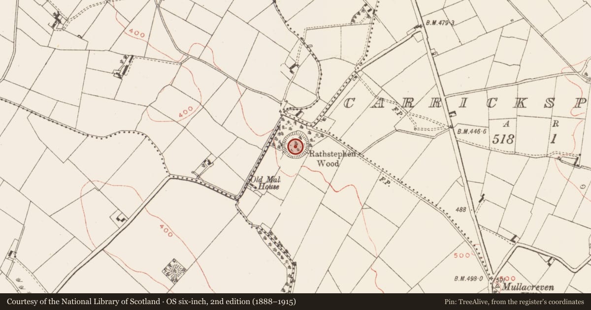 Ordnance Survey six-inch map, 2nd edition (1888–1915) covering the location of Ringfort - rath, Rathstephen, County Meath, with a pin at the register's coordinates