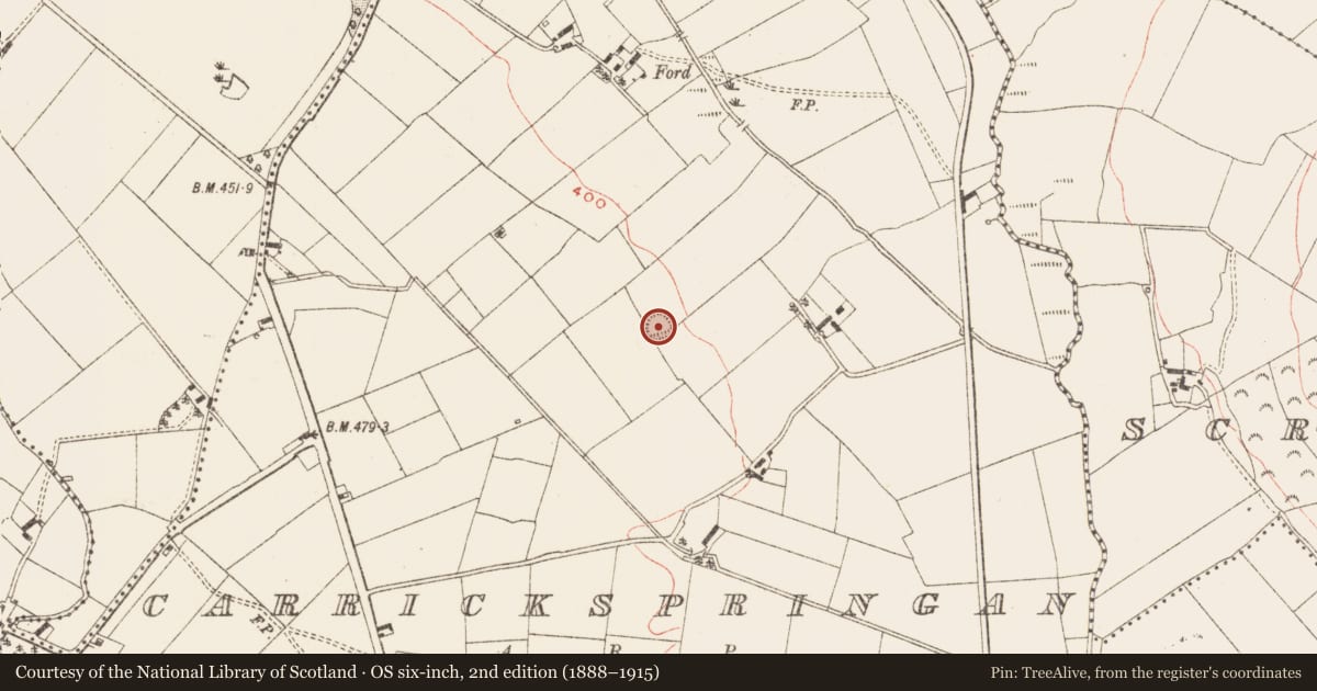 Ordnance Survey six-inch map, 2nd edition (1888–1915) covering the location of Ringfort - rath, Carrickspringan, County Meath, with a pin at the register's coordinates
