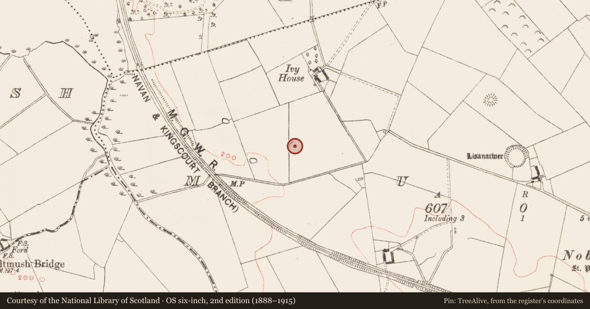 Ordnance Survey six-inch map, 2nd edition (1888–1915) covering the location of Ringfort - rath, Muff, County Meath, with a pin at the register's coordinates