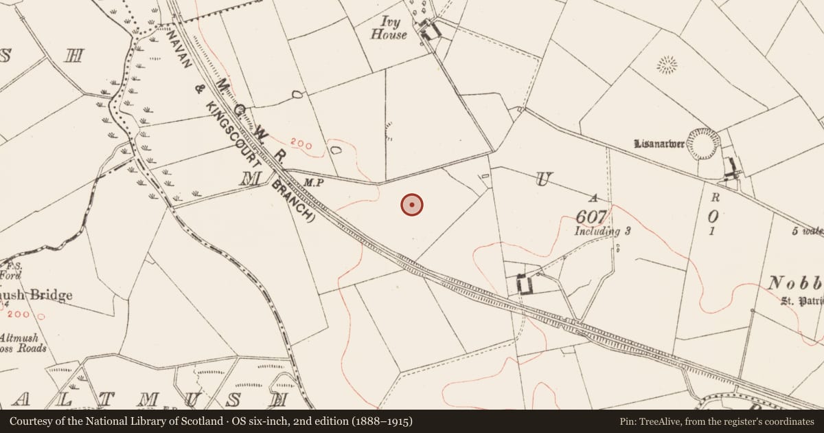Ordnance Survey six-inch map, 2nd edition (1888–1915) covering the location of Earthwork, Muff, County Meath, with a pin at the register's coordinates