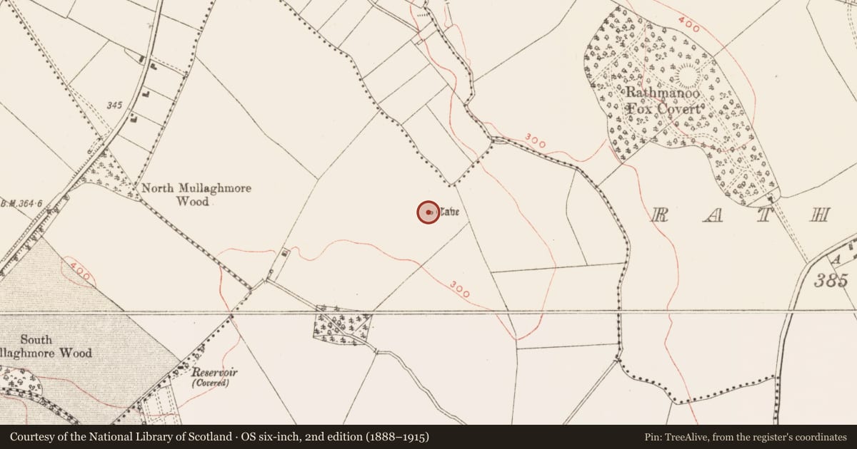 Ordnance Survey six-inch map, 2nd edition (1888–1915) covering the location of Souterrain, Walterstown, County Meath, with a pin at the register's coordinates