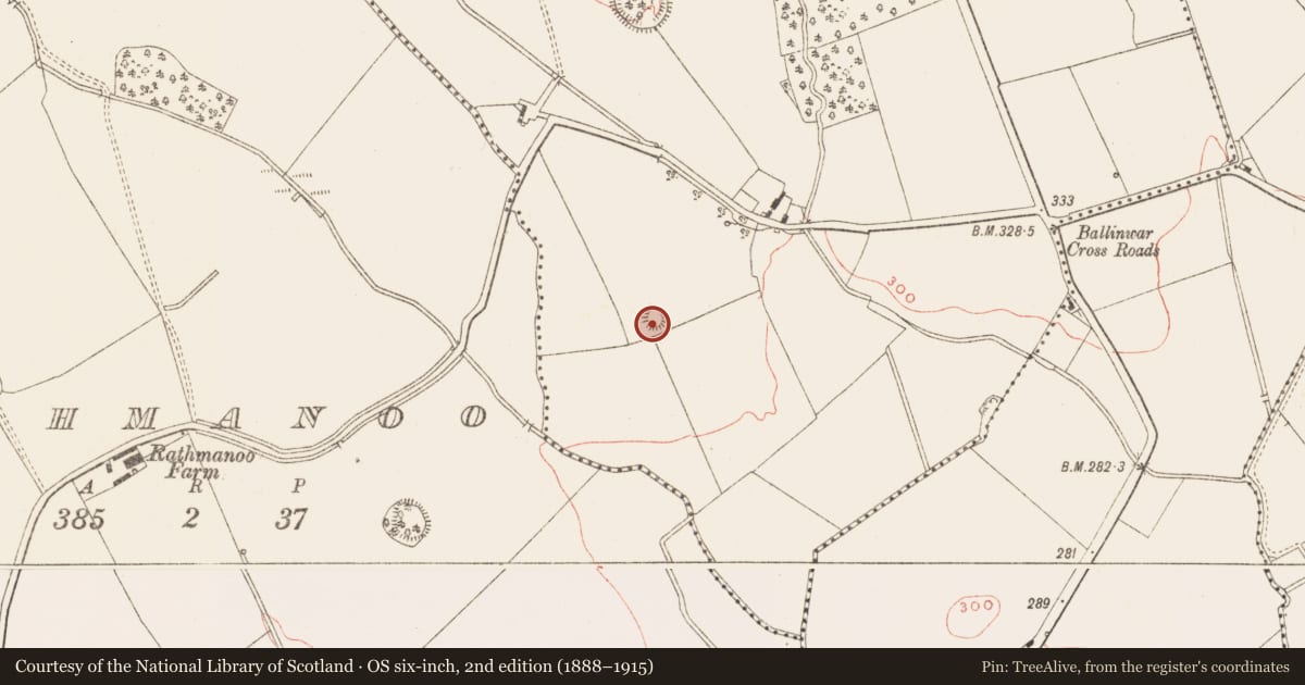 Ordnance Survey six-inch map, 2nd edition (1888–1915) covering the location of Castle - motte, Moat, County Meath, with a pin at the register's coordinates