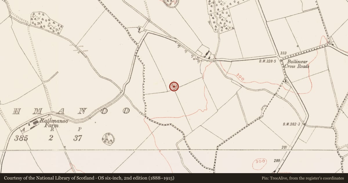 Ordnance Survey six-inch map, 2nd edition (1888–1915) covering the location of Building, Moat, County Meath, with a pin at the register's coordinates