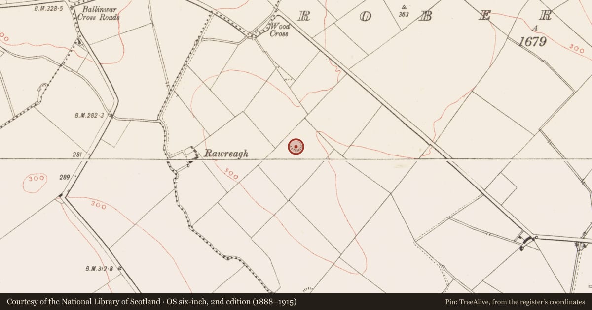 Ordnance Survey six-inch map, 2nd edition (1888–1915) covering the location of Ringfort - rath, Robertstown, County Meath, with a pin at the register's coordinates