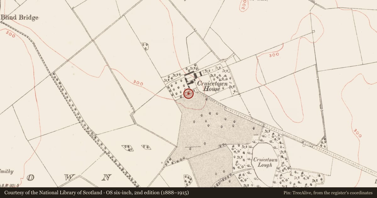 Ordnance Survey six-inch map, 2nd edition (1888–1915) covering the location of Concentric enclosure, Cruicetown, County Meath, with a pin at the register's coordinates