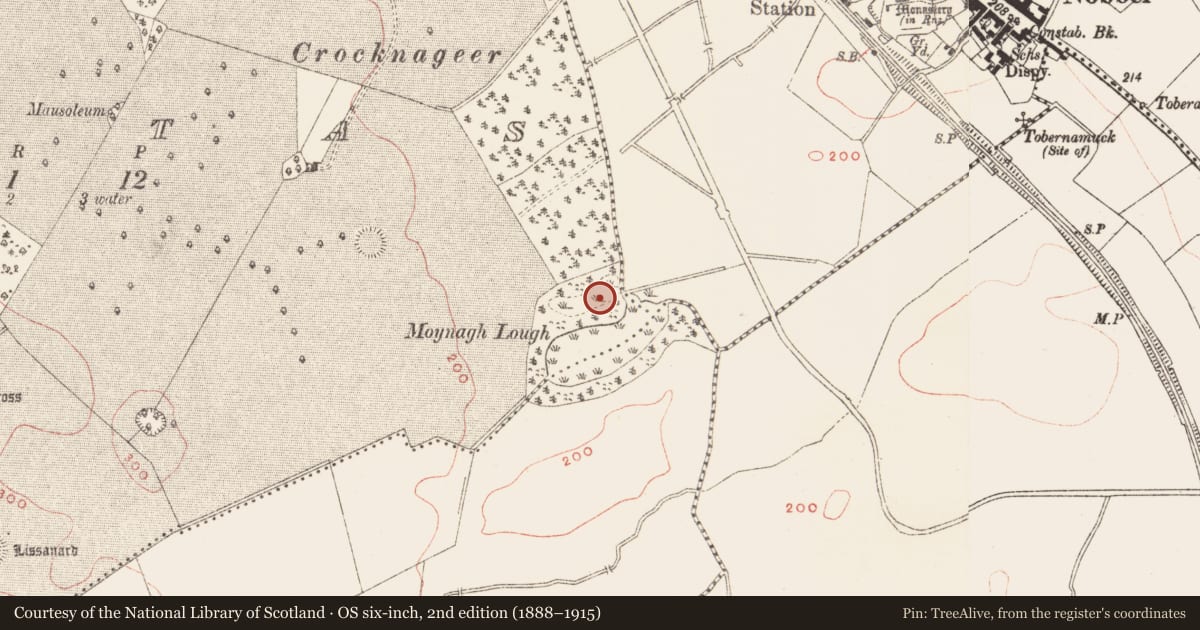 Ordnance Survey six-inch map, 2nd edition (1888–1915) covering the location of Crannog, Brittas, County Meath, with a pin at the register's coordinates