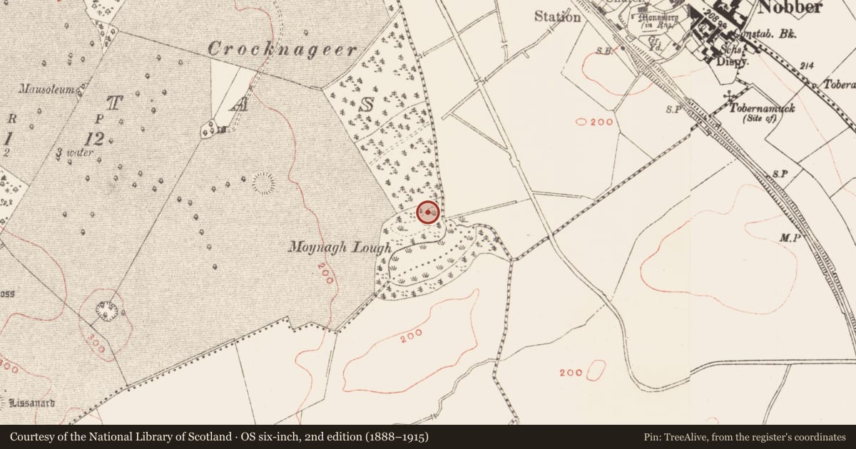 Ordnance Survey six-inch map, 2nd edition (1888–1915) covering the location of Metalworking site, Brittas, County Meath, with a pin at the register's coordinates