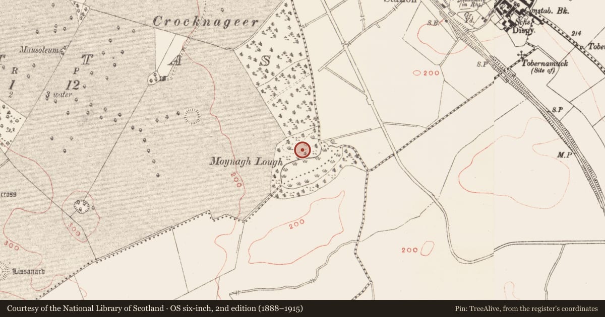 Ordnance Survey six-inch map, 2nd edition (1888–1915) covering the location of Hut site, Brittas, County Meath, with a pin at the register's coordinates