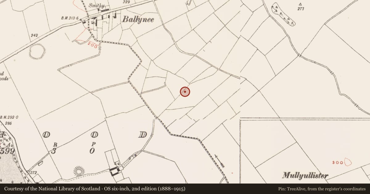 Ordnance Survey six-inch map, 2nd edition (1888–1915) covering the location of Souterrain, Spiddal, County Meath, with a pin at the register's coordinates