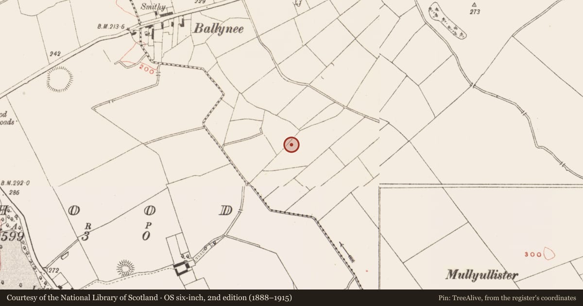 Ordnance Survey six-inch map, 2nd edition (1888–1915) covering the location of Souterrain, Spiddal, County Meath, with a pin at the register's coordinates