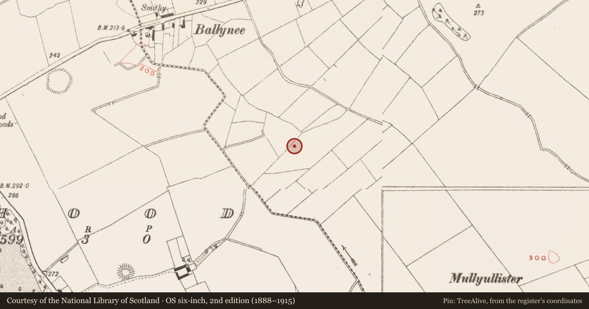 Ordnance Survey six-inch map, 2nd edition (1888–1915) covering the location of Ogham stone, Spiddal, County Meath, with a pin at the register's coordinates