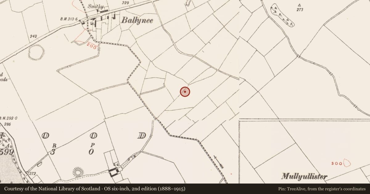 Ordnance Survey six-inch map, 2nd edition (1888–1915) covering the location of Ogham stone, Spiddal, County Meath, with a pin at the register's coordinates